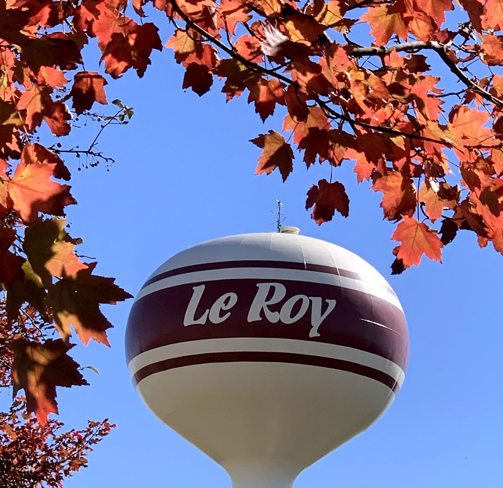 Le Roy Water Tower